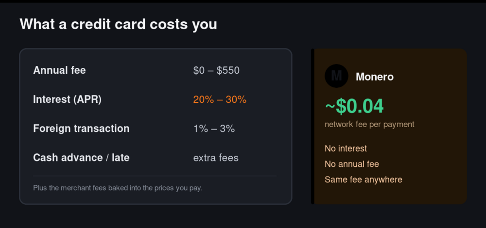 What a credit card costs you: annual fees, 20-30% APR interest, and FX fees versus a few-cent Monero network fee