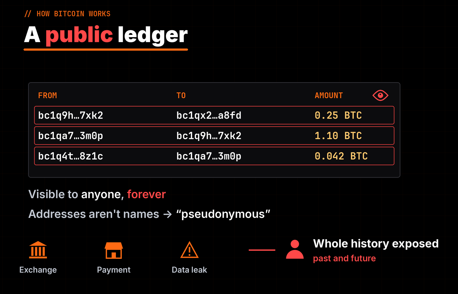 A public ledger: every Bitcoin sender, receiver and amount is visible forever