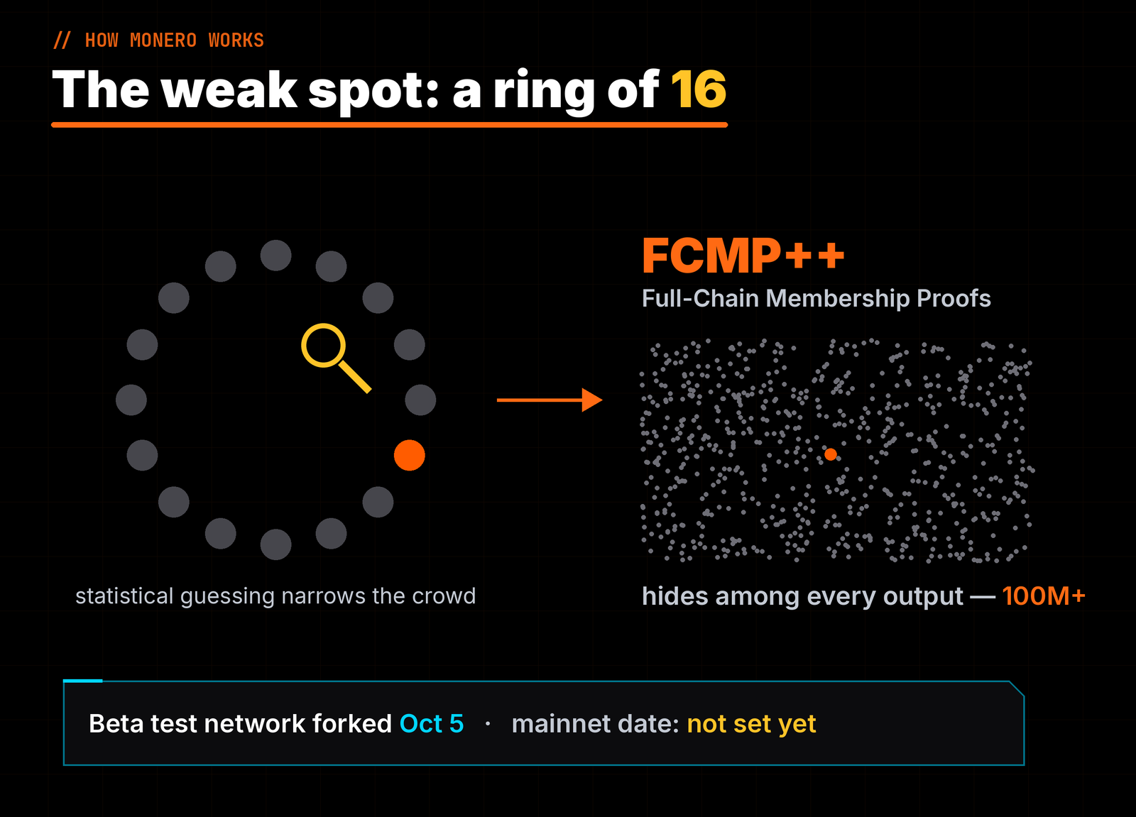 The weak spot today is a ring of 16; FCMP++ hides each transaction among every output on the chain