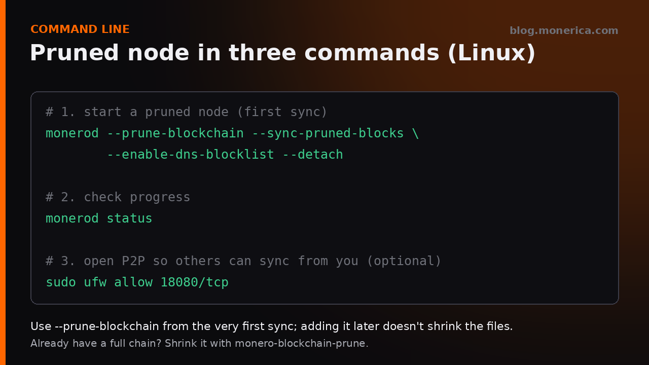 Start a pruned Monero node from the command line