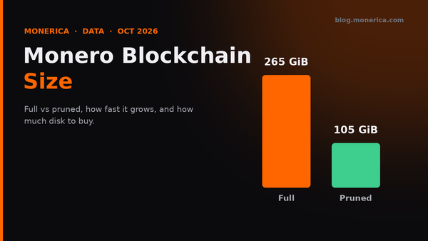Monero Blockchain Size (2026): Pruned vs Full