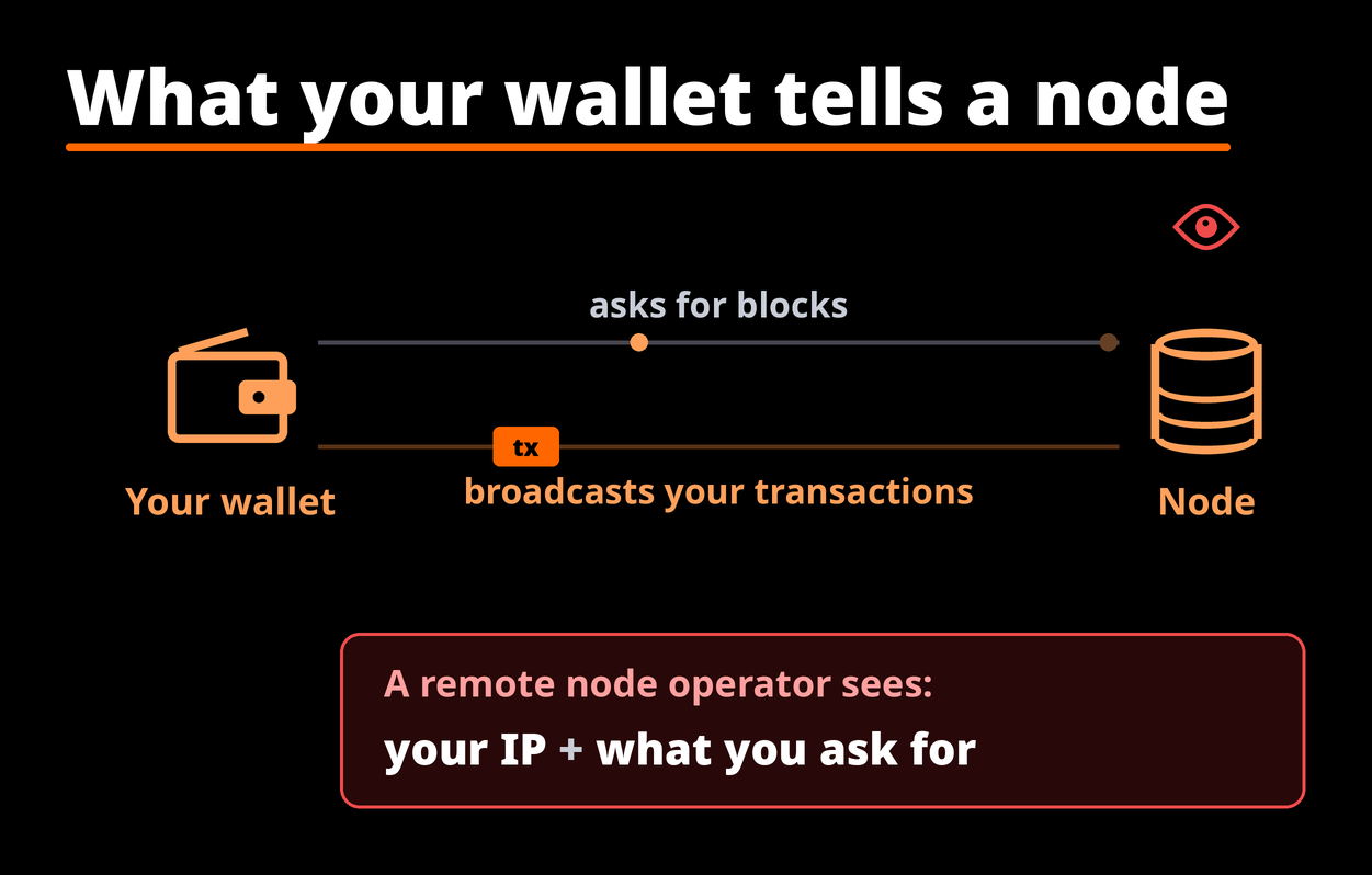 What your wallet tells a node: a remote node operator sees your IP and what you ask for